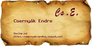 Csernyák Endre névjegykártya