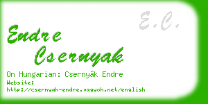 endre csernyak business card