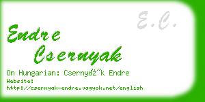 endre csernyak business card